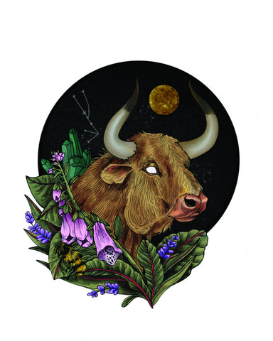 Taurus Art Print