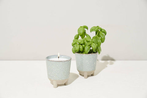 Glow & Grow Candle Herb Garden